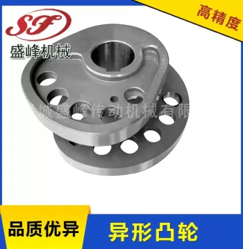 Flat Conjugate Cam Indexer - High-Speed Precision Intermittent Divider for Custom Cams