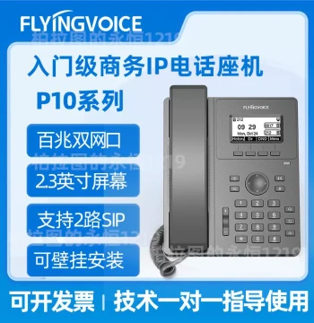 Feiyin Era Network S IP Phone for LAN/Internal Network Use, Model P10