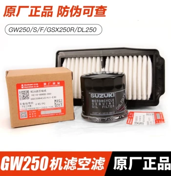 Genuine GW250, GSX250R, DL Oil Filter and Air Filter Replacement Parts