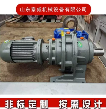 Planetary Cycloidal Pinwheel Reducer - Innovative Horizontal/Vertical Dual-Shaft Direct Drive with High Ratio and Efficiency