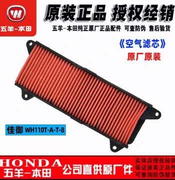 Wuyang Honda Jiaoyu 110 Air Filter - OEM Replacement for 110T-A/110T-8 Models (China IV Emission)