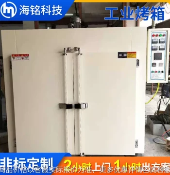 New Energy Industry Vacuum Oven: Double-Door Constant Temperature Industrial Bake Oven for Wheel Rim Painting and Precision High-Temp Baking