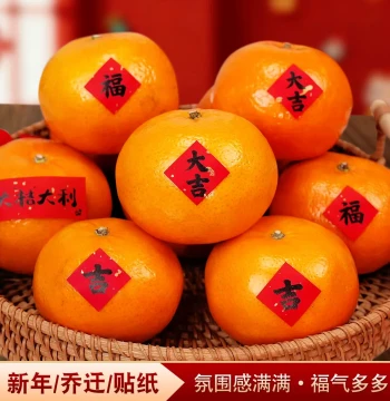 Housewarming Celebration Small Fu Character Stickers Adhesive New Year Spring Festival Blessings Dried Fruits Moving Ceremony Supplies