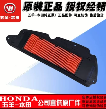 Wuyang Honda Forza 350 Air Filter, Fo Sha 350 Air Filter Element, NSS350 Air Cleaner (Genuine Original)