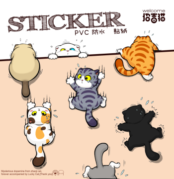 Lucky Cat Tabby Original DIY Concealer Stickers - Cute Paw Print Decor for Cat Lovers