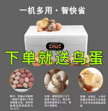 Automatic Smart Waterbed Incubator for Home Use - Small Capacity Hatcher for Quail, Ducks, Geese, and Parrots