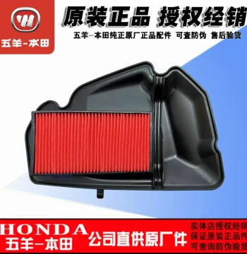 Air Filter for Wuyang-Honda LD125, F125, X125, SCR125, Spacy125, NS125, RX125