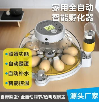 New Premium Home Mini Incubator, Little Butterfly Egg Hatcher for Chicken, Pigeon, and Quail Eggs