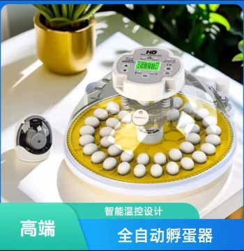 MACADHD High-Precision A8 Fully Automatic Small Incubator with Constant Temperature for Parrots and Canaries