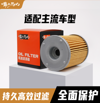 Zuishang Mali Built-in Oil Filter ZS Motorcycle Oil Filter Dummy