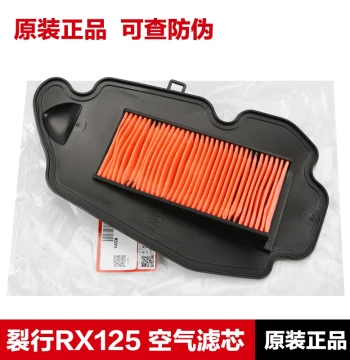 Genuine Air Filter for Sundiro Wuyang Honda NX125, EX, RX125 Liehang Ruizhi Models