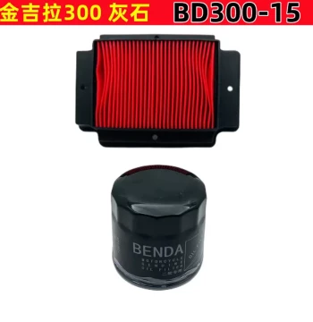 Oil Filter Compatible with Benda Chinchilla BD300-15, Benda 300-16, and Gray Stone 300 Motorcycles