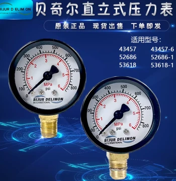 Nanjing Bijur Delimon Lubrication Pump Oiler Pressure Gauge 0-6MPA Oil Pressure Meter 43457