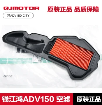 Genuine QJMOTOR Hong ADV150 CITY Air Filter Element for Qianjiang Scooter Motorcycle