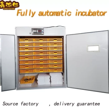 Cross-Border Supply Fully Automatic Chicken Egg Incubator, High Hatch Rate, Smart Mini Home Incubator
