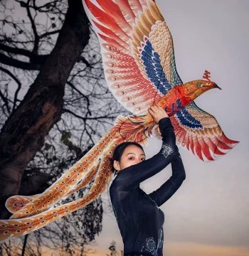 Wang's Handicraft Phoenix Intangible Cultural Heritage Paper Kite Ornament; Weifang Traditional Swallow Professional Frame Large Size
