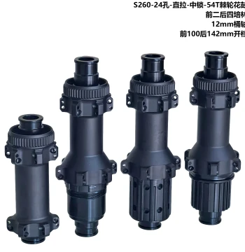Lightweight Straight-Pull 24-Hole Road Bike Center-Lock Hub with DT Star Ratchet 54T, 2 Front + 4 Rear Bearings, M12 Thru-Axle