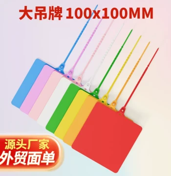 100*100 Plastic Integrated Shipping Tags for ZTO, Yunda, Aneng; Express Logistics Zip Tie Label Plates