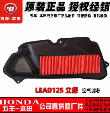 Genuine Wuyang-Honda LEAD125 Air Filter Element, Sundiro Honda Lide Filter Component