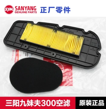 OEM SYM Scooter Air Filter for JOYMAX F300 and JOYRIDE Models