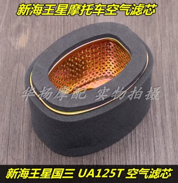 Air Filter for Suzuki Motorcycle National III New Neptune UA125T-A/3 Tianlongxing