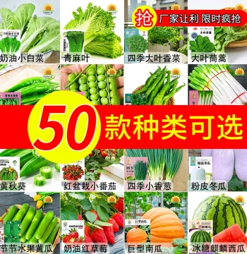 All-Season Vegetable Seeds for Home Gardening - Eggplant, Beans, Fruits & More for Spring, Summer, Fall, and Winter Planting