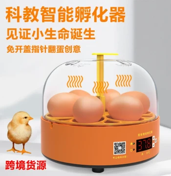 Mini Automatic Egg Incubator for 6 Eggs - Semi-Automatic Smart Educational Hatching Machine