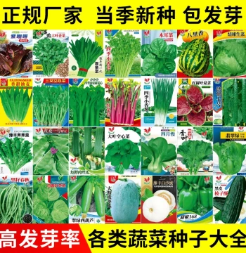 Vegetable Seed Variety Pack - Cilantro, Spinach, Gourd, Strawberry, Chili, Pumpkin, Lettuce for Balcony Pots