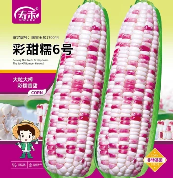 Caitian Nuo No. 6 Flower Sweet Waxy Corn Seeds, Complete Collection of Sticky Corn Seeds, Colorful Fragrant Super Sweet Fruit Corn