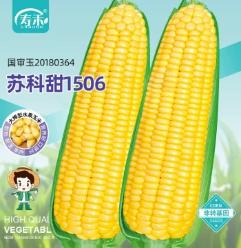 Super Sweet Fruit Corn Seeds Seedlings Sticky High-Yield Hybrid Northern Sweet Glutinous Fragrant Seedlings