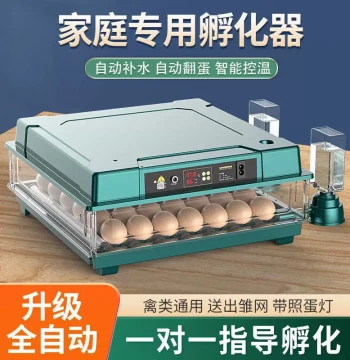 [New Arrival] Fully Automatic Small Home Incubator for Chicks and Quail Eggs
