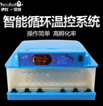Rapid Egg Incubator, Automatic Mini Smart Chick Hatcher for Small Home Poultry and Birds