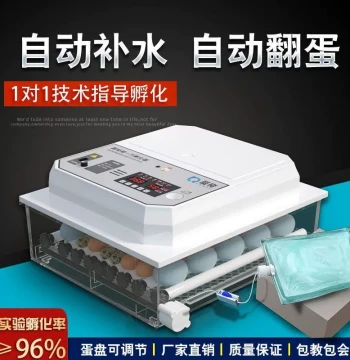 Compact Automatic Egg Incubator - Small Household Chicken Egg Hatching Machine