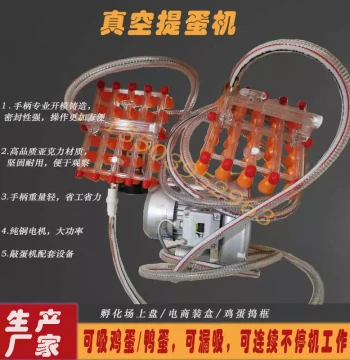 Automatic Egg Lifting and Packing Handle for Poultry Farms - Handheld Device for Collecting up to 30 Eggs