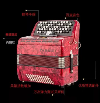 Parrot Bayan Accordion - 8/60/96 Bass Button Model for Beginners, Exams, and Professional Performance