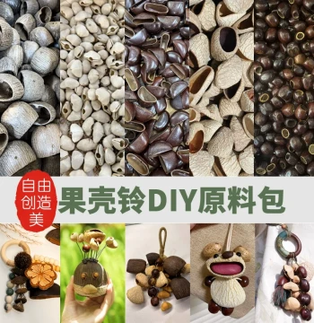 Natural Fruit DIY Material Kit, Shell Chime Set, Handbell, Meditation Handmade Healing Yoga Accompaniment Instrument