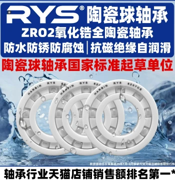 RYS Zirconia Full Ceramic Bearings: 6000, 6001, 6002, 6003, 6004, 6005 CE, 2RS