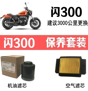 Oil Filter and Air Filter Set for Qianjiang Flash 300S, Original QJ300-12 Engine and Air Filter Elements