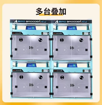 Parrot Bird Special Brooding Incubator Cockatiel Lovebird Chick Constant Temperature Emergency Rescue Medium AO Chick DL6363 Cage