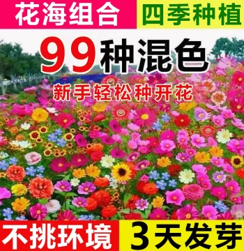 Wildflower Seed Mix, Four-Season Outdoor Planting, Dwarf Flower Seeds, Blooming Garden Cosmos Seeds Collection