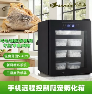 90-760L 0.1 Reptile Incubation & Brumation Box for Turtles, Snakes, Geckos; Insect Constant-Temperature Breeding Box