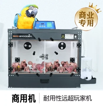 Heijian Professional Incubator with Auto Temperature & Humidity Control - Ideal for Cockatiels, Call Ducks, Lovebirds, and Chicks (Free Shipping)