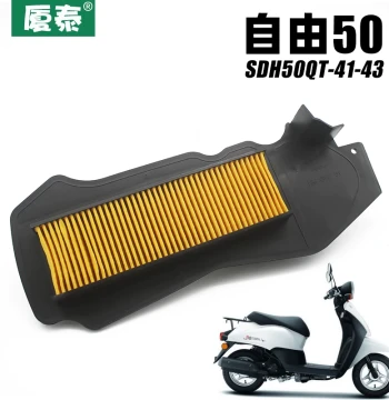 Sundiro Honda TODAY Freedom 50 SDH50QT-43-41 Fuel Injection Model Air Filter Core, Air Filter Accessories
