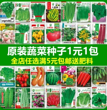 Assorted Seasonal Vegetable Seeds - Cilantro, Scallions, Cucumbers, Tomatoes, Peppers, Beans, Lettuce, Watermelon, Melon