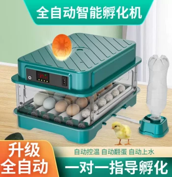 Compact Smart Home Incubator for Chicken, Duck, Pigeon, and Parrot Eggs