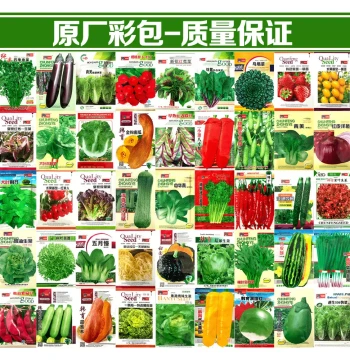 Complete Home Vegetable Seed Collection for Year-Round Planting: Cilantro, Lettuce, Chili, Tomato - Suitable for Balcony Pots or Ground Gardening
