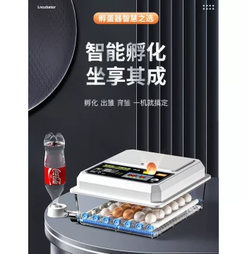 Fully Automatic Smart Mini Home Incubator for Chicken, Duck, Goose, and Pigeon Eggs