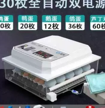Fast Hatch Quail & Chicken Incubator - Fully Automatic Small Home Poultry Hatcher
