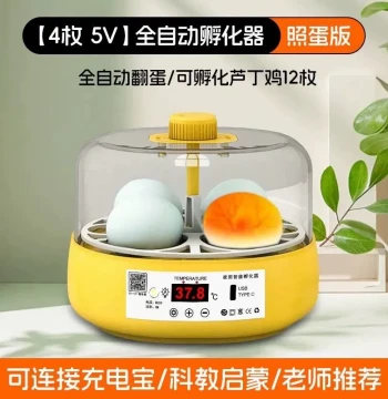 Egg Incubator for Quail and Chicks - Small Smart Home Incubator with Water Bed for Parrots, Fully Automatic