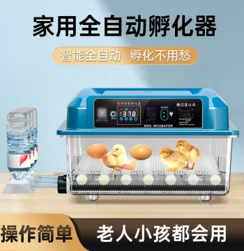 Fully Automatic Small Home Incubator for Chickens, Ducks, and Geese – Smart Hatching Machine with Coturnix Quail Box